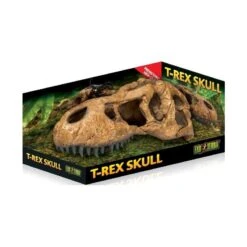 Exo Crâne T-Rex - Exo Terra