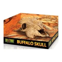 Exo Crâne Vache 24x14x9cm - Exo Terra