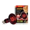Exo Lampe Infrared Basking Spot 100w - Exo Terra -Bird Supply Store exo lampe infrared basking spot 100w exo terra 33 pt2144 exo terra exo lampe infrared basking spot 100w exo terra