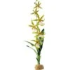 Exo Orchidée - Exo Terra 2 Exo Orchidée - Exo Terra -Bird Supply Store exo orchidee exo terra 33 pt2991 exo terra exo orchidee exo terra