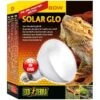 Exo Solar Glo Ampoule Simulant La Lumière 80w - Exo Terra 2 Exo Solar Glo Ampoule Simulant La Lumière 80w - Exo Terra -Bird Supply Store exo solar glo ampoule simulant la lumiere 80w exo terra 33 pt2334 exo terra exo solar glo ampoule simulant la lumiere 80w exo te
