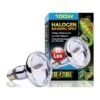 Exo Sun Glo Lampe Halogène 100w - Exo Terra 2 Exo Sun Glo Lampe Halogène 100w - Exo Terra -Bird Supply Store exo sun glo lampe halogene 100w exo terra 33 pt2183 exo terra exo sun glo lampe halogene 100w exo terra