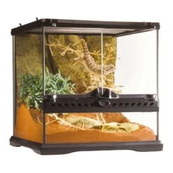 Exo Terrarium (arrière-plan Inclus) 30x30x30cm - Exo Terra