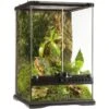 Exo Terrarium (arrière-plan Inclus) 30x30x45cm - Exo Terra 1 Exo Terrarium (arrière-plan Inclus) 30x30x45cm - Exo Terra -Bird Supply Store exo terrarium arriere plan inclus 30x30x45cm exo terra 33 pt2602 exo terra exo terrarium arriere plan inclus 30x30x45cm exo terr