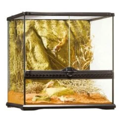 Exo Terrarium (arrière-plan Inclus) 45x45x45cm - Exo Terra