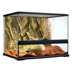 Exo Terrarium (arrière-plan Inclus) 60x45x45cm - Exo Terra