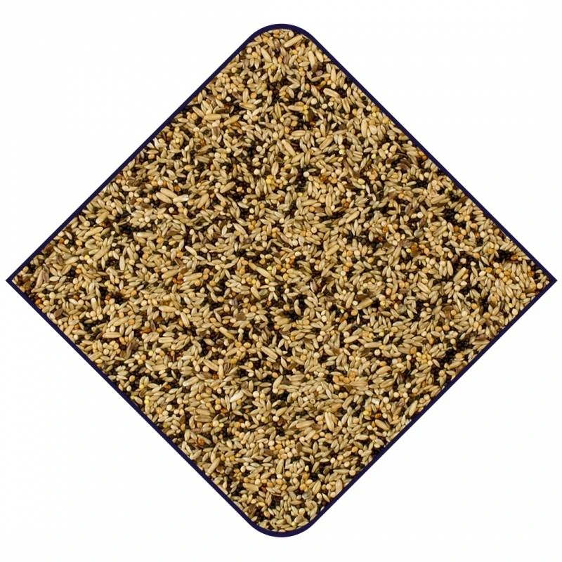 Expert Base Canaris 20kg - Witte Molen 4 Expert Base Canaris 20kg - Witte Molen - Image 2