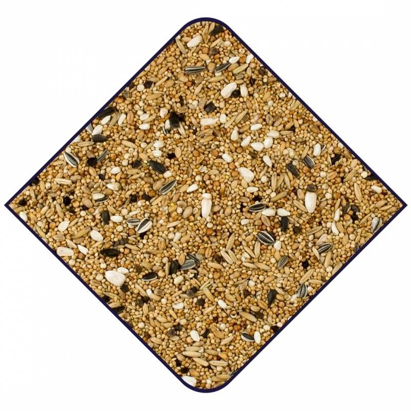 Expert Base Grandes Perruches 20kg - Witte Molen 4 Expert Base Grandes Perruches 20kg - Witte Molen - Image 2