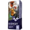 Expert Base Oiseaux Indigènes 20kg - Witte Molen -Bird Supply Store expert base oiseaux indigenes 20kg witte molen 652225 witte molen composition millet blanc graines a canari graines de navet gra