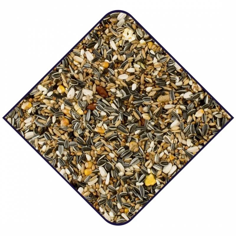 Expert Base Perroquets 15kg - Witte Molen 4 Expert Base Perroquets 15kg - Witte Molen - Image 2