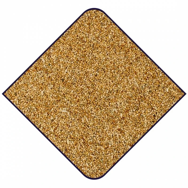 Expert Base Perruches 20kg - Witte Molen 4 Expert Base Perruches 20kg - Witte Molen - Image 2