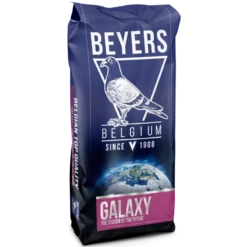 Galaxy Elevage 20kg - Beyers