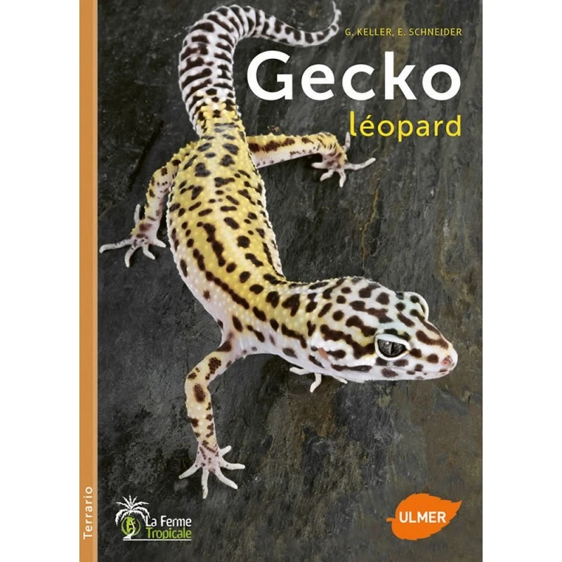 Gecko Léopard - G. KELLER - E. SCHNEIDER 3 Gecko Léopard - G. KELLER - E. SCHNEIDER