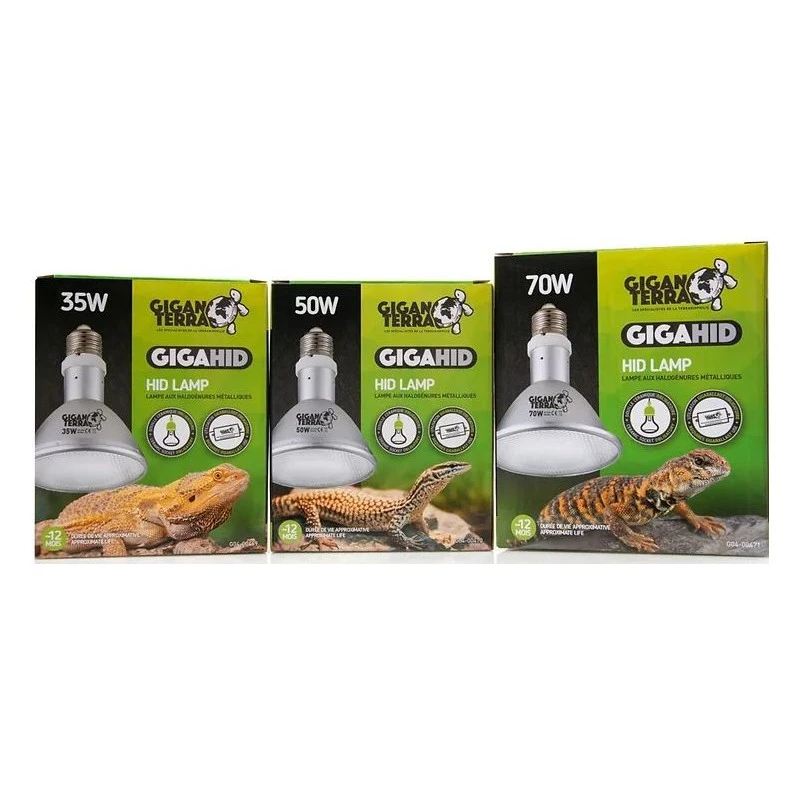 GIGAHID Lampes HID 50w - Giganterra 3 GIGAHID Lampes HID 50w - Giganterra