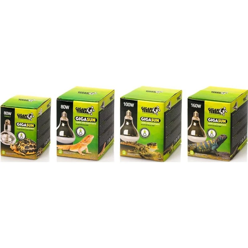 GIGASUN Ampoule Mercure 80w Compact - Giganterra 4 GIGASUN Ampoule Mercure 80w Compact - Giganterra - Image 2