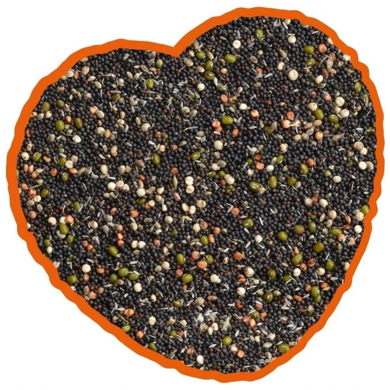 Graines De Germination Mix 20kg - Duvo+ 4 Graines De Germination Mix 20kg - Duvo+ - Image 2