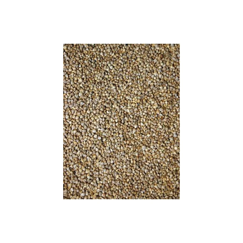 Graines D'épinard 15kg - Grizo 3 Graines D'épinard 15kg - Grizo