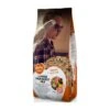 Grand Perruche Mix 20kg - Duvo+ 1 Grand Perruche Mix 20kg - Duvo+ -Bird Supply Store grand perruche mix 20kg duvo 12309 duvo specifications alimentation delicieuse et equilibree pleine de graines nutritives convie