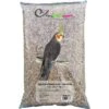 Grandes Perruches - Ornibird, Mélange Pour Grandes Perruches 20kg 1 Grandes Perruches - Ornibird, Mélange Pour Grandes Perruches 20kg -Bird Supply Store grandes perruches ornibird melange pour grandes perruches 20kg 700122 private label ornibird melange de graines pour grandes per
