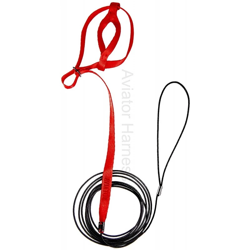 Harnais Pour Perroquet AVIATOR Small Rouge 4 Harnais Pour Perroquet AVIATOR Small Rouge - Image 2