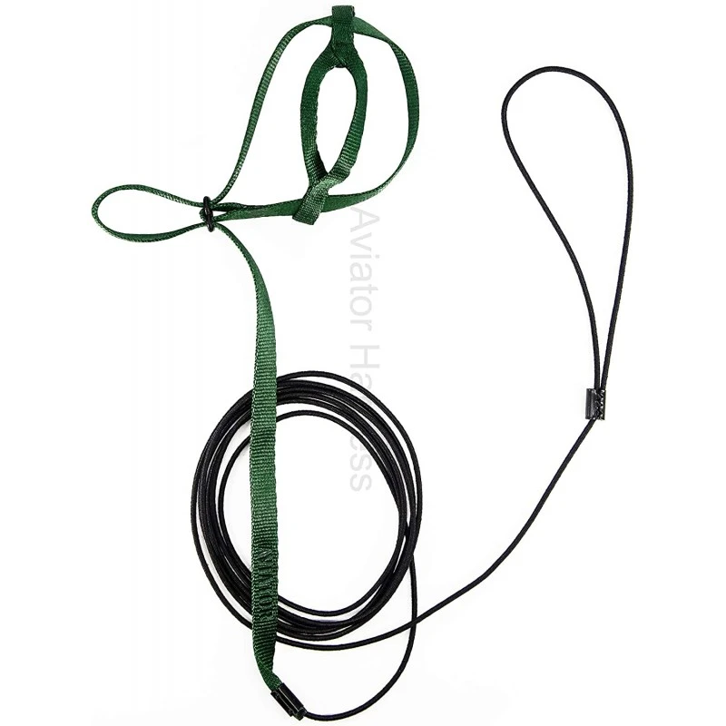 Harnais Pour Perroquet AVIATOR X-Large Vert 4 Harnais Pour Perroquet AVIATOR X-Large Vert - Image 2