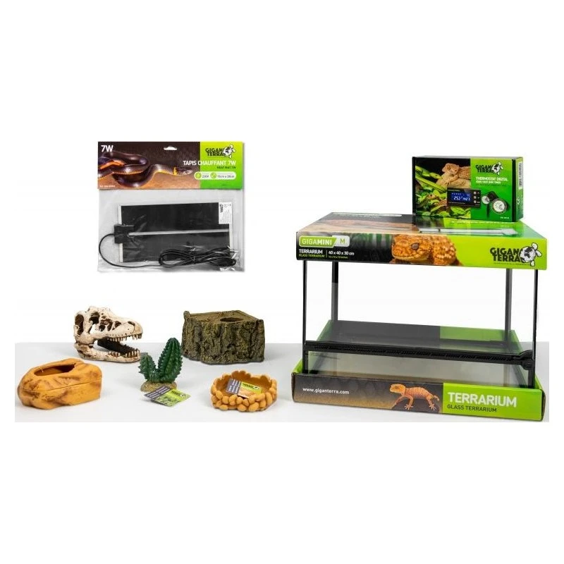 Kit Gecko Leopard Juvenile 40x40x30cm - Giganterra 3 Kit Gecko Leopard Juvenile 40x40x30cm - Giganterra