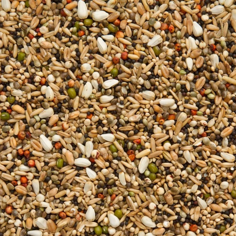 Mélange Dessert Petites Graines 25kg - Beyers 4 Mélange Dessert Petites Graines 25kg - Beyers - Image 2