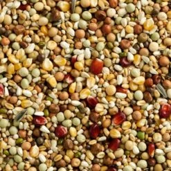 Mélange Finesse Elevage 20kg - Natural 5 Mélange Finesse Elevage 20kg - Natural -Bird Supply Store melange finesse elevage 20kg natural 105378720 natural natural finesse elevage de superbes resultats delevage haute teneur en pr 1