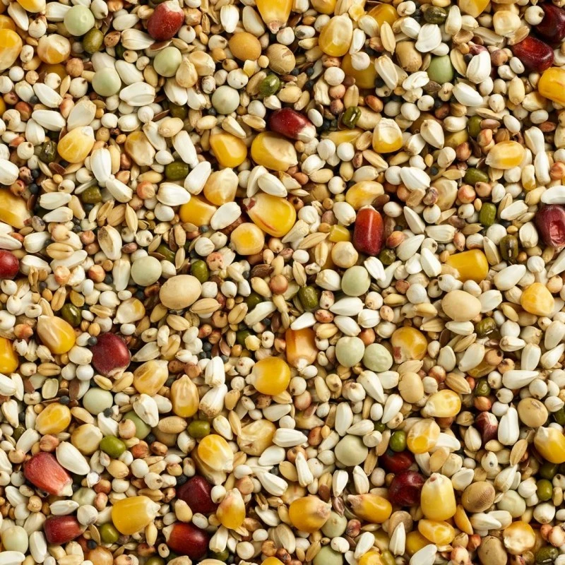 Mélange Finesse Sport 20kg - Natural 4 Mélange Finesse Sport 20kg - Natural - Image 2