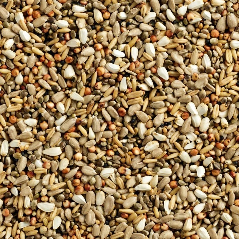 Mélange Finesse Wizard 20kg - Natural 4 Mélange Finesse Wizard 20kg - Natural - Image 2