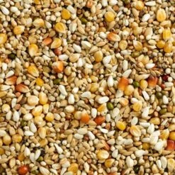 Mélange Maxi Digest-2 3M Popcorn 25kg - Natural 5 Mélange Maxi Digest-2 3M Popcorn 25kg - Natural -Bird Supply Store melange maxi digest 2 3m popcorn 25kg natural 105065720 natural natural maxi digest 2 2m popcorn un melange sportif faible en pr 1