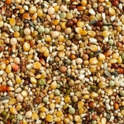 Mélange Maxi Sport 3M Popcorn 25kg - Natural 5 Mélange Maxi Sport 3M Popcorn 25kg - Natural -Bird Supply Store melange maxi sport 3m popcorn 25kg natural 105102725 natural natural maxi sport 2m popcorn un melange sportif de veuvage avec du 1