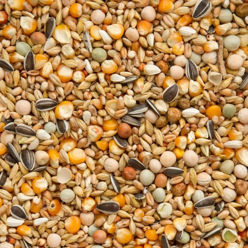 Mélange Repos / Hiver 25kg - Beyers 4 Mélange Repos / Hiver 25kg - Beyers - Image 2