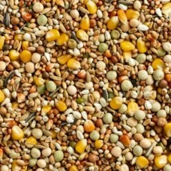 Mélange Select Standard 20kg - Natural 5 Mélange Select Standard 20kg - Natural -Bird Supply Store melange select standard 20kg natural 105404725 natural natural select standard un melange toutes saisons varie a bas prix le mei 1