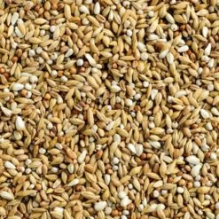 Mélange Special Dépuratif 25kg - Natural 5 Mélange Special Dépuratif 25kg - Natural -Bird Supply Store melange special depuratif 25kg natural 105104725 natural natural special depuratif un melange riche en fibres facile a digerer a 1