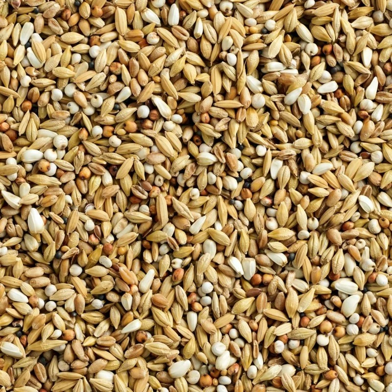 Mélange Special Dépuratif 25kg - Natural 4 Mélange Special Dépuratif 25kg - Natural - Image 2