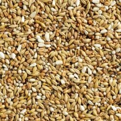 Mélange Special Depuratif Continental 25kg - Natural 5 Mélange Special Depuratif Continental 25kg - Natural -Bird Supply Store melange special depuratif continental 25kg natural 100007725 natural natural special depuratif continental un melange riche en f 1