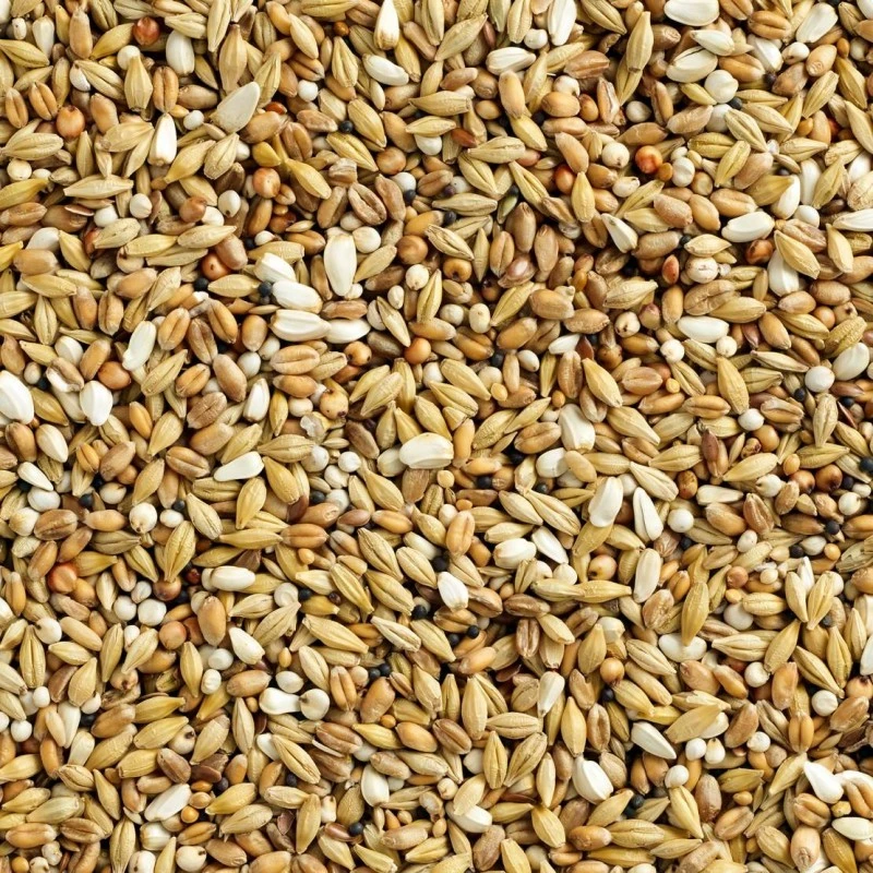 Mélange Special Depuratif Continental 25kg - Natural 4 Mélange Special Depuratif Continental 25kg - Natural - Image 2