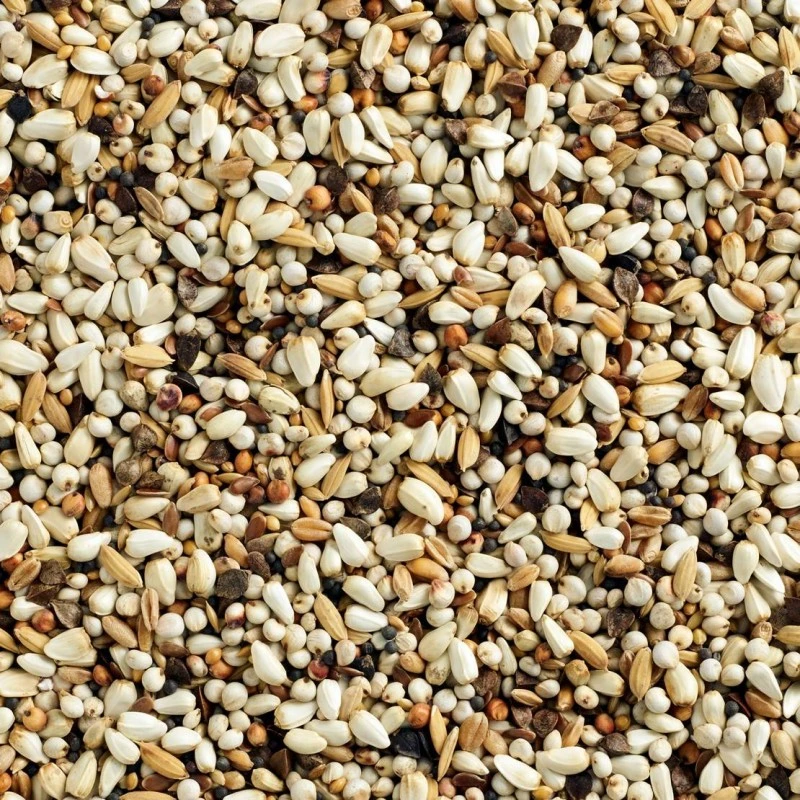 Mélange Special Energy 20kg - Natural 4 Mélange Special Energy 20kg - Natural - Image 2