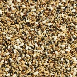 Mélange Special Petites Graines 20kg - Natural 5 Mélange Special Petites Graines 20kg - Natural -Bird Supply Store melange special petites graines 20kg natural 100517720 natural natural special petites graines un melange de petites graines ric 1