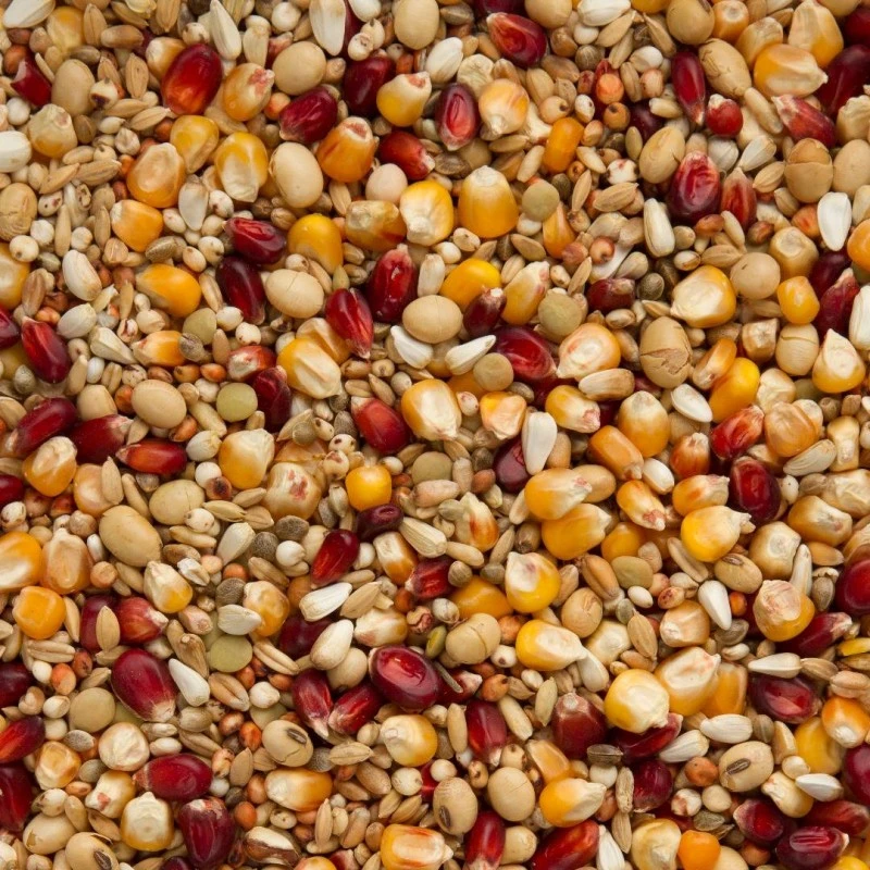 Mélanges Bordeaux Premium Enzymix Energy 25kg - Beyers 4 Mélanges Bordeaux Premium Enzymix Energy 25kg - Beyers - Image 2