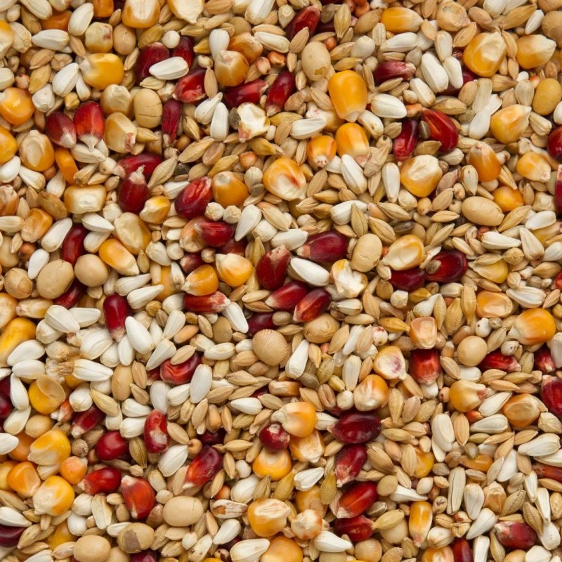 Mélanges Bordeaux Premium Enzymix Relax 25kg - Beyers 4 Mélanges Bordeaux Premium Enzymix Relax 25kg - Beyers - Image 2