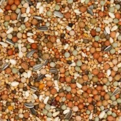 Mélanges Olympia 48 - Olympia Elevage & Pigeonneaux Sans Maïs 25kg - Beyers 5 Mélanges Olympia 48 - Olympia Elevage & Pigeonneaux Sans Maïs 25kg - Beyers -Bird Supply Store melanges olympia 48 olympia elevage pigeonneaux sans mais 25kg beyers 004464 beyers beyers melanges olympia elevage pigeonneaux 1 1