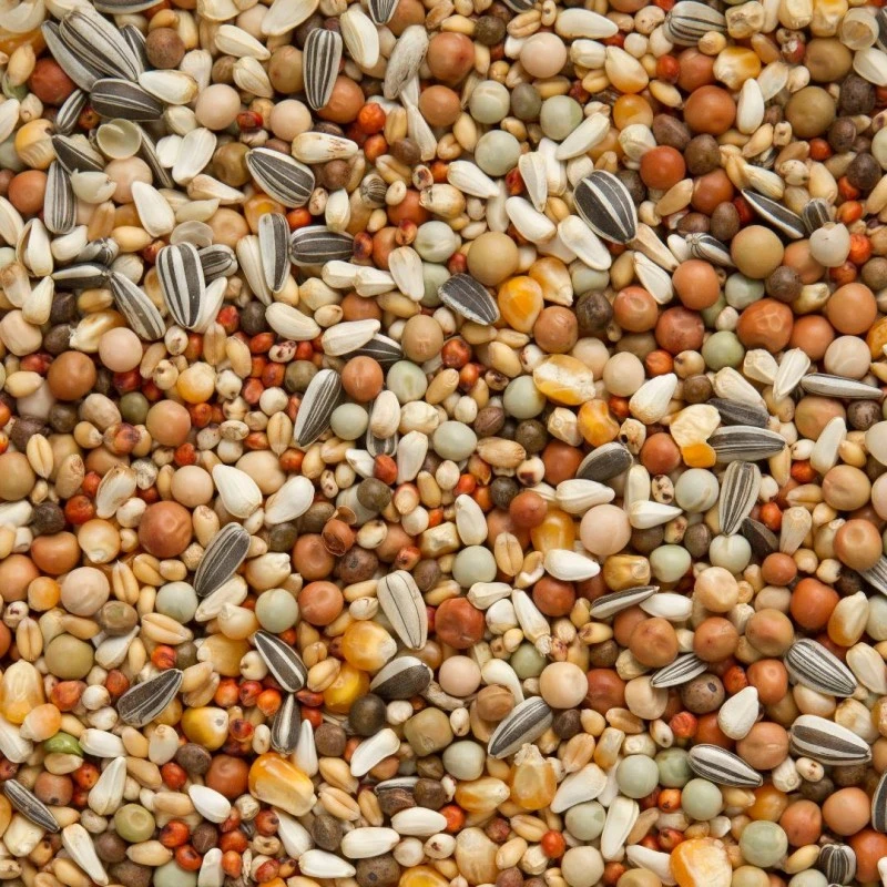 Mélanges Olympia 49 - Olympia Elevage & Pigeonneaux Avec Petit Maïs 25kg - Beyers 4 Mélanges Olympia 49 - Olympia Elevage & Pigeonneaux Avec Petit Maïs 25kg - Beyers - Image 2