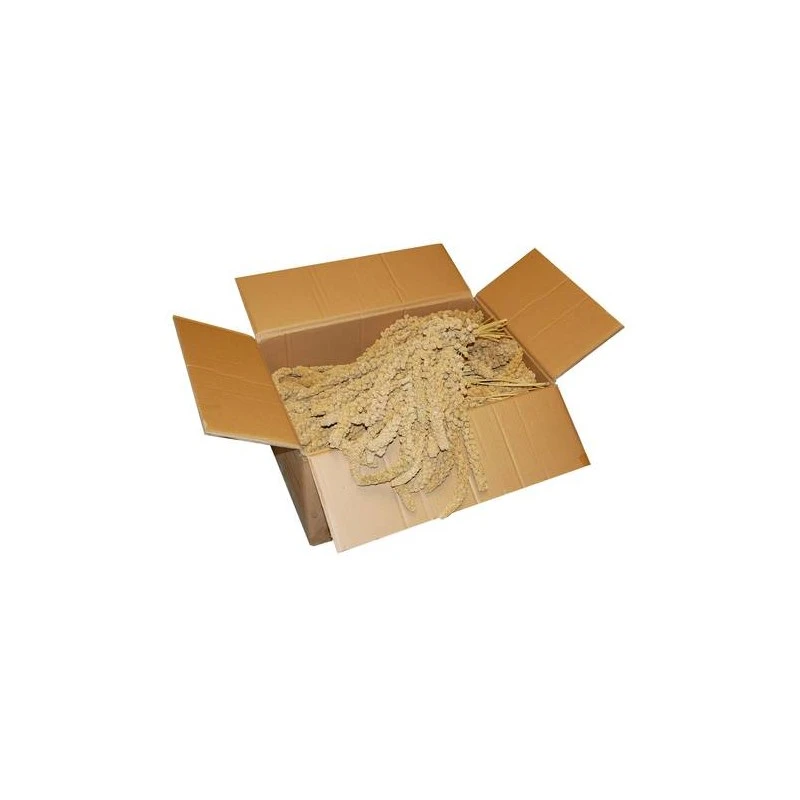 Millet Jaune En Grappes Chinois 15kg 4 Millet Jaune En Grappes Chinois 15kg - Image 2