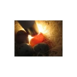 Mire Oeufs - Fauna 8 Mire Oeufs - Fauna -Bird Supply Store mire oeufs fauna 14340 fauna birdproducts ce stylo permet de controler la fecondite des oeufs il est livre avec 2 piles 2