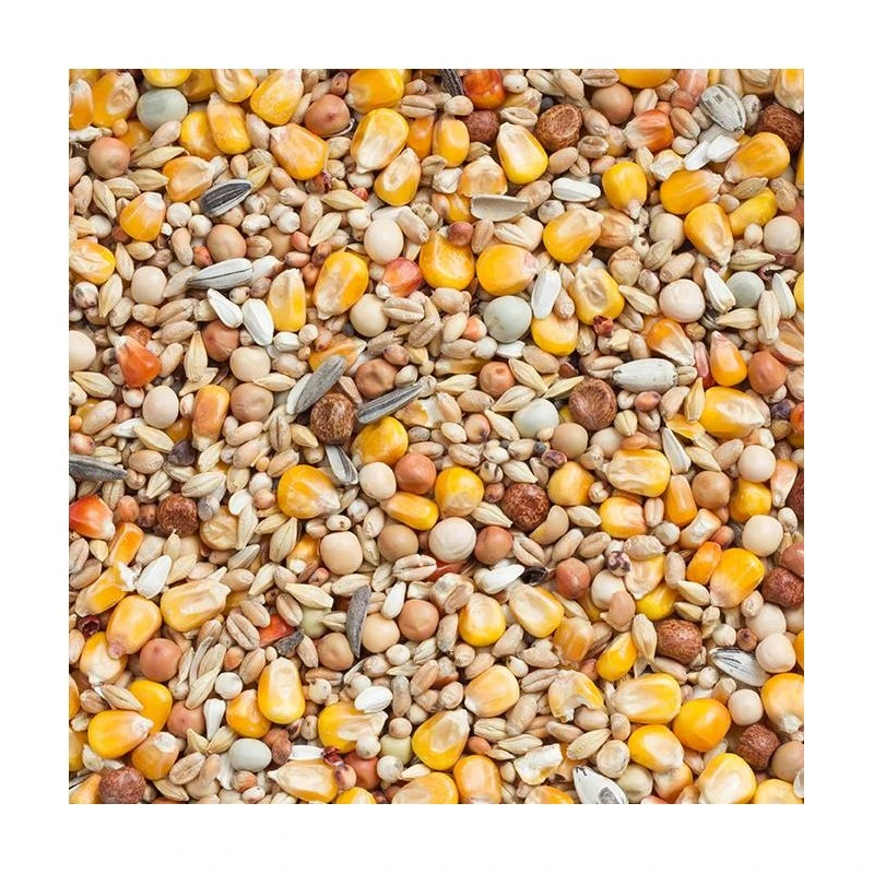 Mue Budget 25kg - Beyers 4 Mue Budget 25kg - Beyers - Image 2