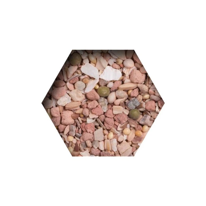 Multi Minéral Mix 20kg - Beyers Plus 4 Multi Minéral Mix 20kg - Beyers Plus - Image 2