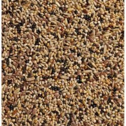 N°34 Volière 20kg - Deli Nature 5 N°34 Volière 20kg - Deli Nature -Bird Supply Store n34 voliere 20kg deli nature 006534 deli nature est un melange contenant une grande variete de graines afin que chaque oiseau y 1 1