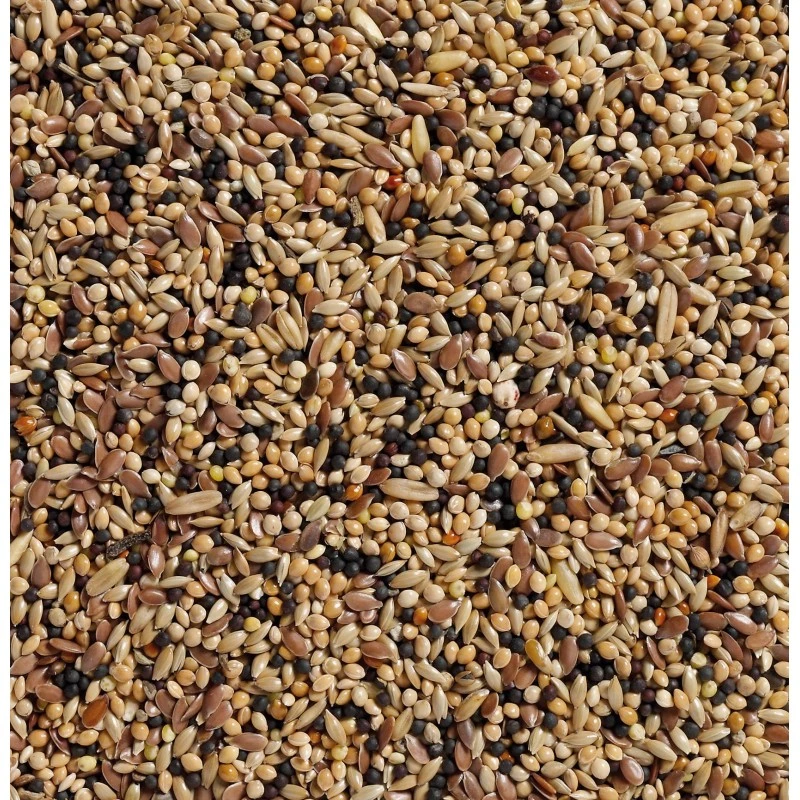 N°34 Volière 20kg - Deli Nature 4 N°34 Volière 20kg - Deli Nature - Image 2